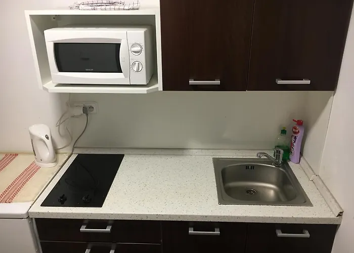 Guest house Village 3*